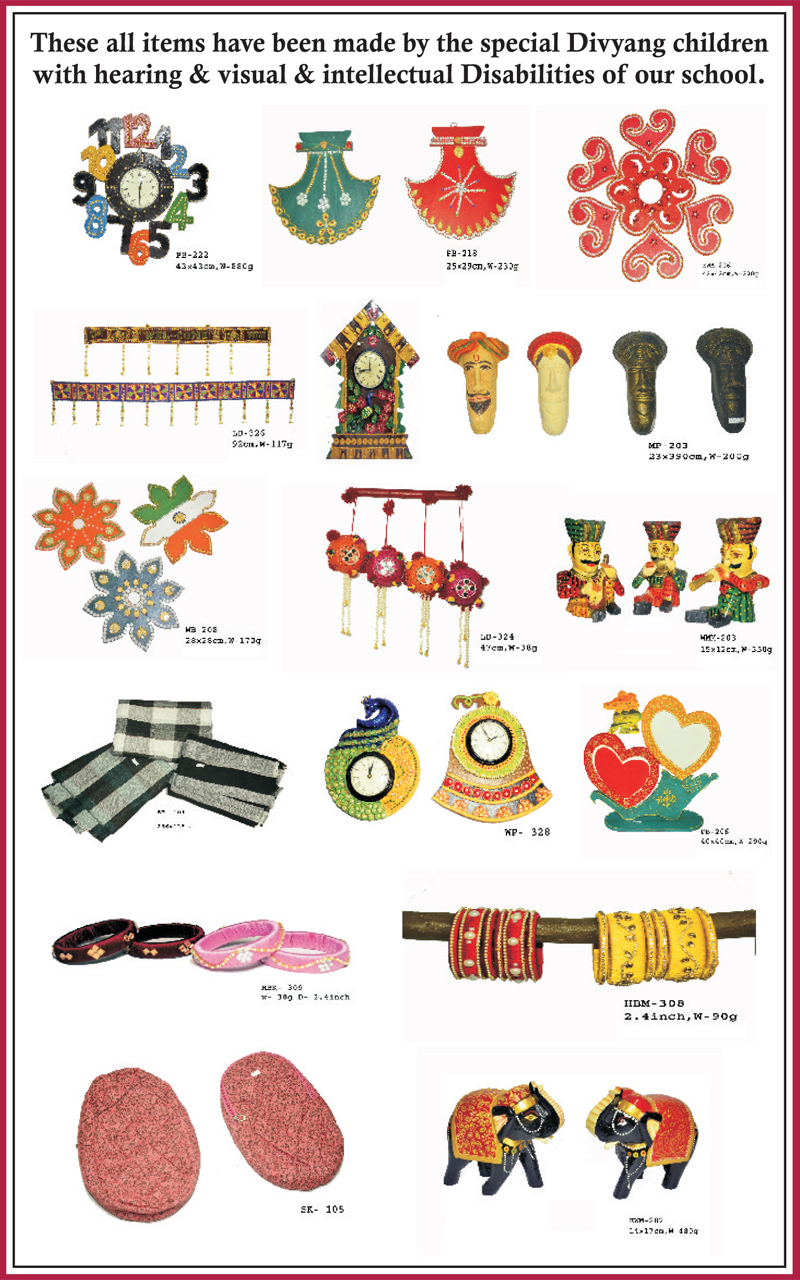 Handicraft made by netraheen sikshan sansthan students